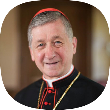 His Eminence Blase J. Cardinal Cupich picture