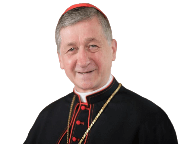 His Eminence Blase J. Cardinal Cupich<br> Archbishop of Chicago picture