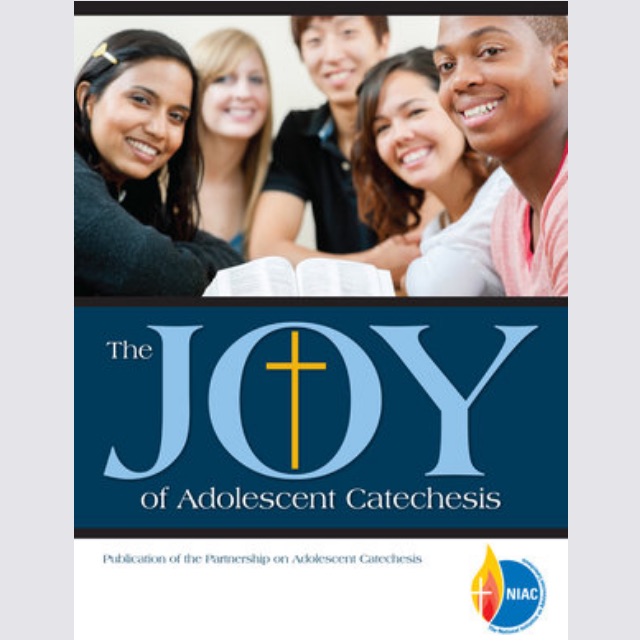 The Joy of Adolescent Catechesis Image