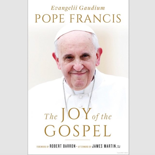 The Joy of the Gospel (P. Francis) Image