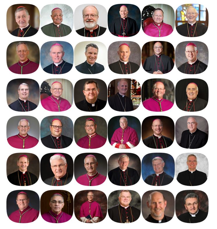 2023 Bishops' Committee | TEC Conference